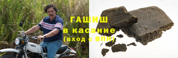 гидра Богданович