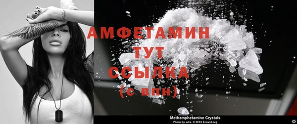 гидра Богданович