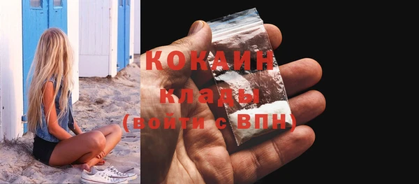mdpv Богородск