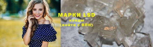гидра Богданович