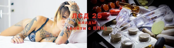 гидра Богданович