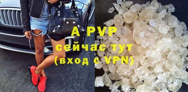 гидра Богданович