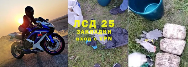 гидра Богданович