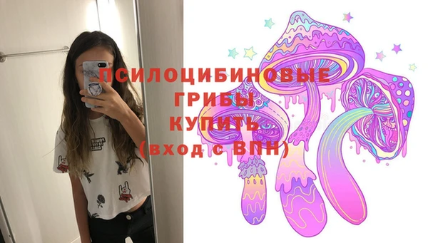 mdpv Богородск