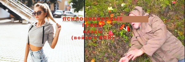 прущая мука Богородицк