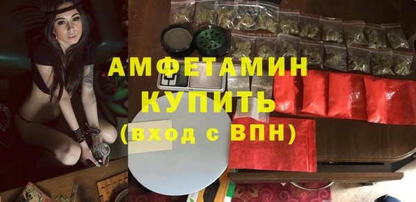 гидра Богданович