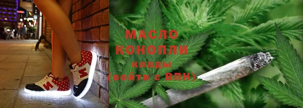 гидра Богданович